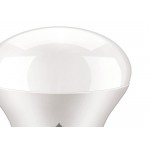 Lampada Led Bulbo Ecolume 12W 3000K A60   27216