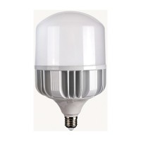 Lamp Led Industrial 65W E27/40 6500Kkian