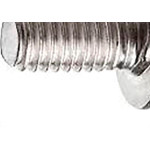 Parafuso P/Eletroduto Lentilha 1/4X3/4 C/200