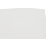 Espelho Placa Pial Plus 4X4 Cego 618510