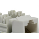 Conector Femea Keystone Rj-45 Branco
