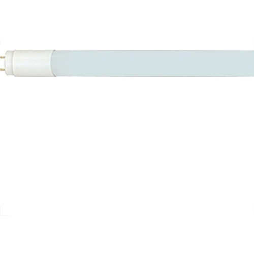 Lampada Tuboled Led Bee 18W T8 6500K