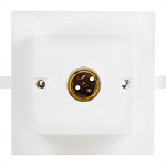 Plafon Decora Pvc Interneed Branco Qd S.Porc