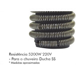 Resistencia Hydra Corona Ducha Ss 5200W 220V