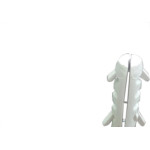 Bucha de Fixacao Ecolider 06 C/Anel Branco C/1000