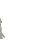 Bucha de Fixacao Ecolider 08 C/Anel Branco C/1000