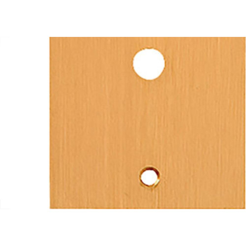 Espelho Placa P/Piso Latao 4X2 1Furo Olivo Pll03