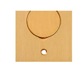 Espelho Placa P/Piso Latao 4X2 1Tomada Red Olivo Pll4