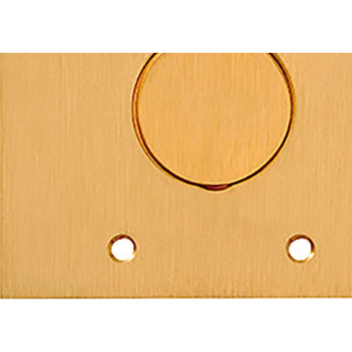 Espelho Placa P/Piso Latao 4X4 1Tomada Red Olivo Ll10