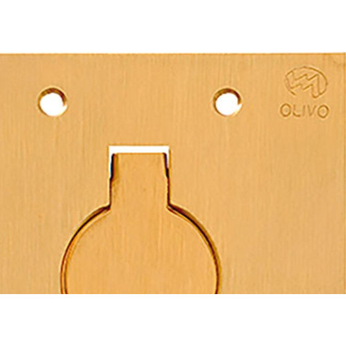 Espelho Placa P/Piso Latao 4X4 1Tomada Red Olivo Ll10