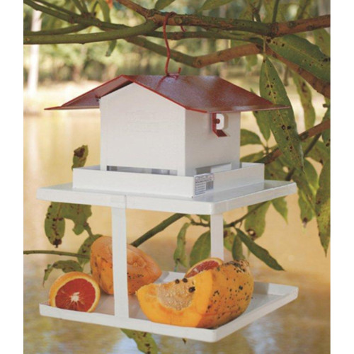 Comedouro Tratador C/Fruteira P/Passaros