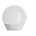Lampada Led Bulbo 12W 6500K Blumenau