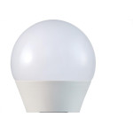 Lampada Led Bulbo 12W 6500K Bivolt B_D