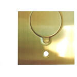 Placa Piso Latao 4X2''Tomada Universal ''Com 1 Tampa Unha Pl42Tu