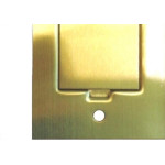 Placa Piso Latao 4X2''Tomada Fone''Com 1 Tampa Unha Pp20/00