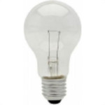 Lampada Incandescente Baixa Voltagem Brasfort 40 X 12V 8564