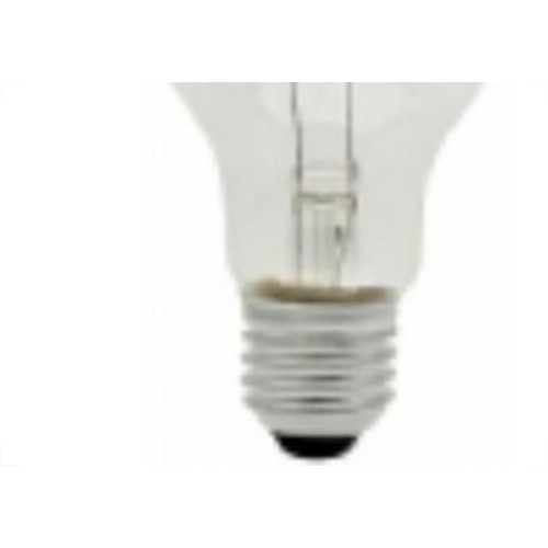 Lampada Incandescente Baixa Voltagem Brasfort 40 X 12V 8564