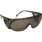 Oculos Protecao Kalipso Panda Fume 