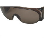 Oculos Protecao Kalipso Panda Fume 