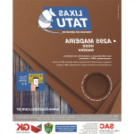 Lixa Madeira Tatu 100 A29501000050 - Kit C/50 