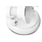 Spot Jr Telinha B-2 Branco 130/2