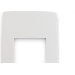 Placa Pial Plus 4X2 (2 Modulos Horizontal) 618502