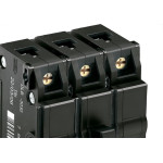 Disjuntor Lorenzetti Tripolar 10A Dlbe-3010