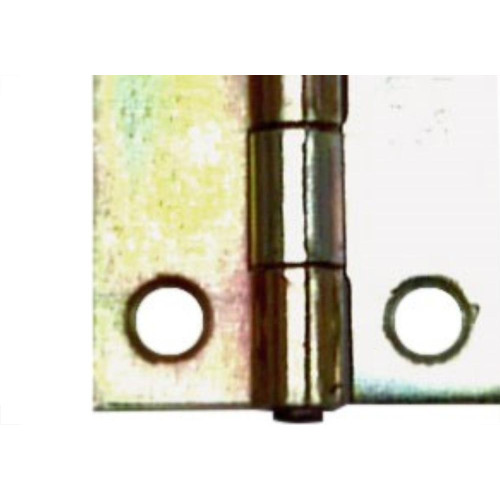 Dobradica Merkel Ferro Bicromatizado 1.1/4'' Lf 55  - Kit C/48 