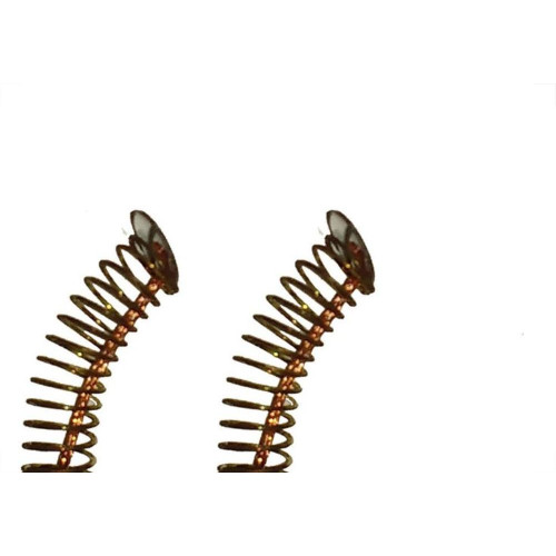 Carvao Esmerilhadeira Ferrari Reversora 54 Com 2 Pecas C258G - Kit C/6 