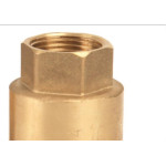 Valvula Retencao Vertical Metal Brasfort 3/4'' 8966