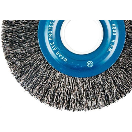 Escova Aco Brasfort Circular Aco Carbono 6X1/2 7239