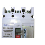 Disjuntor Caixa Moldada Jng Tripolar 70A Djm1-100L 53045