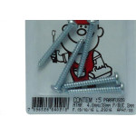 Cartela Parafuso Auto Atarrachante Panela 4,8 X 38Mm Peg&Fixe 5 Pecas Apat/08