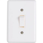 Conjunto Ilumi 4X2 Branco Com Placa(1Paralelo) 2022
