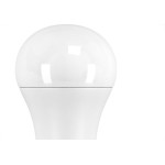 Lampada Led Bulbo Taschibra15W 6500K 