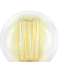 Lampada Filamento Carbono Taschibra G80 40Wx220V 