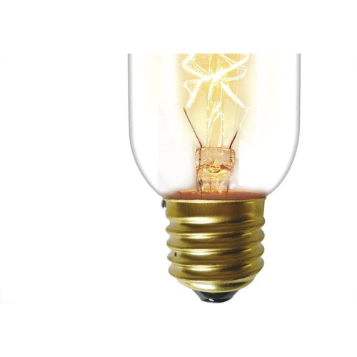 Lampada Filamento Carbono Taschibra T45 40Wx127V 