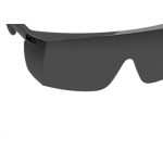 Oculos Protecao Valeplast Evolution Fume 62.212