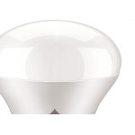 Lampada Led Bulbo Ecolume 07W 6000K A60/A55 27213
