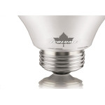 Lampada Led Bulbo Ecolume 12W 3000K A60 27216