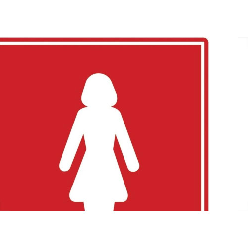 Placa Sinalizacao Poliestireno 15X20 ''sanitario Feminino''  220Ac