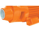 Bomba Agua Intech Periferica Bp1000 1Cv Bivolt 1'' Bp1000-Bivolt