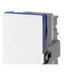 Modulo Pial Plus+ Branco 1 Campainha 10A Automatico 611012Bc