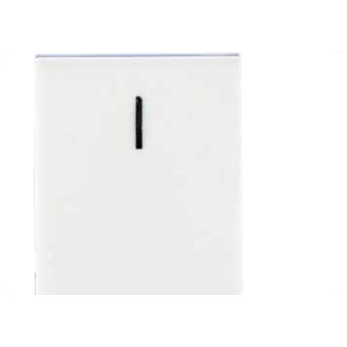 Modulo Pial Plus+ Branco 1 Simples Bipolar 10A 612005Bc