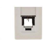 Modulo Pial Plus+ Branco 1 Tomada Rj11 2 Fios 615011Bc
