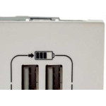 Modulo Pial Plus+ Branco 2 Tomada Usb 2400Ma 615089Bc