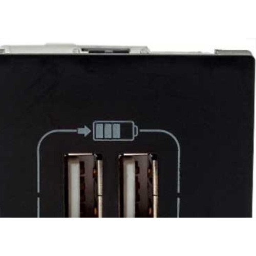 Modulo Pial Plus+ Preto 2Tomada Usb 2400Ma 615089Pt