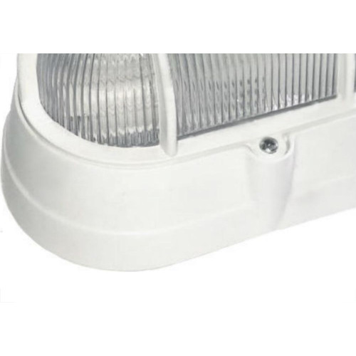 Luminaria Tartaruga Pvc Shintech Branca Com Plastico Tpb2Pq