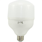 Lampada Led Bulbo Jng 30W 6500K E27 54388