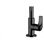 Torneira Abs Bica Movel Lavatorio Lorenzetti 1/4V 1195 F61 Preta 